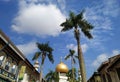 Dome of Sultan mosque with palm trees, shops and bright sky