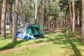 Dome tent camping in forest Royalty Free Stock Photo