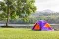 Dome tents camping in forest Royalty Free Stock Photo