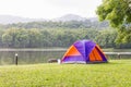 Dome tents camping in forest Royalty Free Stock Photo
