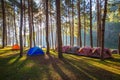 Dome tents beside the lake in the mist at sunrise