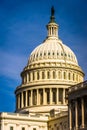 The dome of the United States Capitol, in Washington, DC. Royalty Free Stock Photo