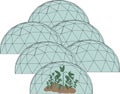 Domed greenhouses with plants inside