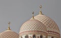 Domes of Al Saleh Mosque