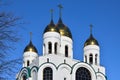 Domes of Cathedral of Christ the Saviour. Kaliningrad, Russia Royalty Free Stock Photo