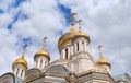 Domes of the Church of the Resurrection and the New Martyrs and Confessors of the Russian Church