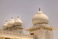 Domes of the Jaygurudev Temple in India