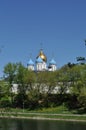 The domes of the Novospassky monastery against the background of a white wall and trees