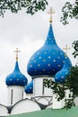 Domes orthodox church Royalty Free Stock Photo