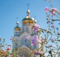 The domes of the Orthodox Church with crosses Royalty Free Stock Photo