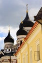 Domes of Tallinn, Estonia