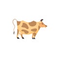 Domestic Animal icon