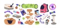 Domestic animals accessories set. Different pet shop goods. Toys, canine food, carrier, cat tray, bowls, scratching post