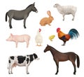 Domestic animals. Farm birds chickens active animal rabbit horse sheep and cow lazy dirty pig donkey decent vector Royalty Free Stock Photo