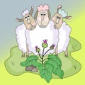 Domestic animals and plants.sheeps and burdock.funny vector illustration Royalty Free Stock Photo