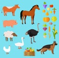 Domestic Animals Set near Fruit and Vegetable Royalty Free Stock Photo