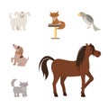 Domestic Animals Flat Vector Illustrations Set. Cartoon Toy Dogs, Purebred Pets, Mongrel Cats, Puppies. Exotic Bird