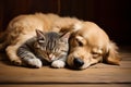 Domestic Cat dog sleeping. Generate Ai Royalty Free Stock Photo