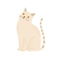 Domestic cat flat vector illustration. Childish soft toy, kid plaything, interior decor element. Sitting kitten, home