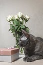 A domestic cat sits on a table near a vase with a bouquet of white roses with a greeting box Royalty Free Stock Photo