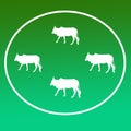 Domestic Cattle Cow Logo Background Icon Graphics Royalty Free Stock Photo