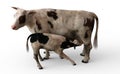 The nursing Cow with Calf, 3D Illustration