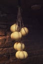 Domestic cheese ripening produced