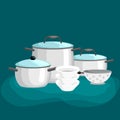 Domestic cooking tools and equipment, pans pots realistic set with frying pan saucepan bowl isolated vector