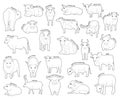 Domestic Cow Set Various Kind Identify Cartoon Vector Black and White