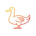 Domestic duck gradient linear vector icon