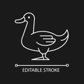 Domestic duck linear icon for dark theme