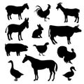 Domestic  farm animals  birds black silhouettes. Donkey  cock  goat  sheep  rabbit  horse Royalty Free Stock Photo