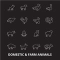 Domestic farm animals editable line icons vector set on black background. Domestic farm animals white outline Royalty Free Stock Photo
