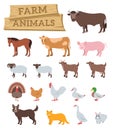 Domestic farm animals flat vector icons