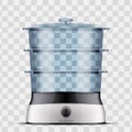 Domestic Food Steamer Royalty Free Stock Photo