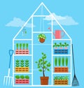 Domestic garden greenhouse