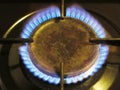 A gas stove burner with blue flames Royalty Free Stock Photo