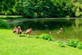 Domestic geese by the lake in city park Royalty Free Stock Photo