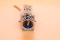 Pet mouse light brown near alarm clock