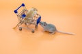 Little mouses with a shopping cart