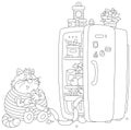 Funny fat cat filching sausages from a fridge Royalty Free Stock Photo