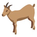 Domestic goat icon, isometric style Royalty Free Stock Photo