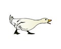 Domestic goose, poultry breeding vector Illustration isolated on a white background. Royalty Free Stock Photo
