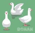 Domestic Goose Roman Cartoon Vector Illustration