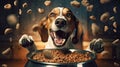 Domestic life with pet. Feeding hungry dog. The owner gives his dog a bowl of granules. Royalty Free Stock Photo