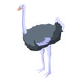 Domestic ostrich icon, isometric style