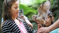 domestic owl. girl holding on hand and strokes a small motley owl. close-up. in the forest, park for a walk, summer day. Royalty Free Stock Photo