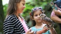 domestic owl. girl holding on hand and strokes a small motley owl. close-up. in the forest, park for a walk, summer day. Royalty Free Stock Photo