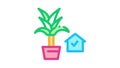 domestic potting flower Icon Animation