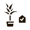 domestic potting flower icon Vector Glyph Illustration